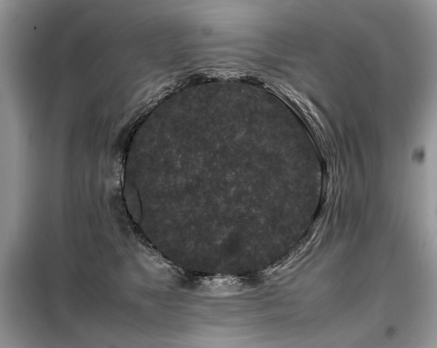 X0000099410517200805091222