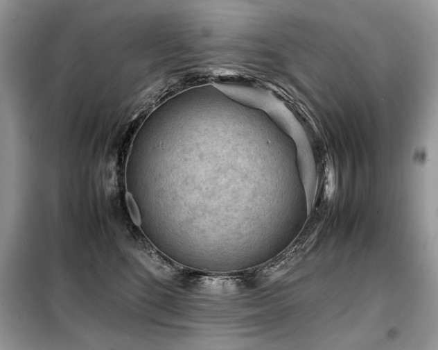 X0000099410520200805091222