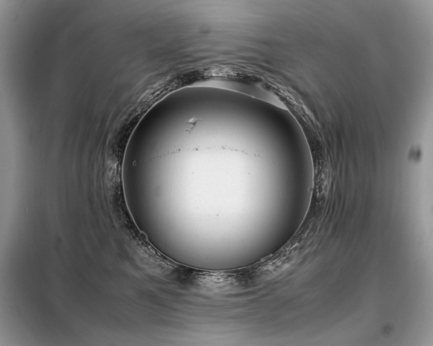 X0000099410521200805091222