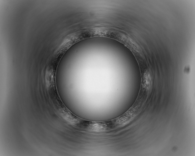 X0000099410522200805091222