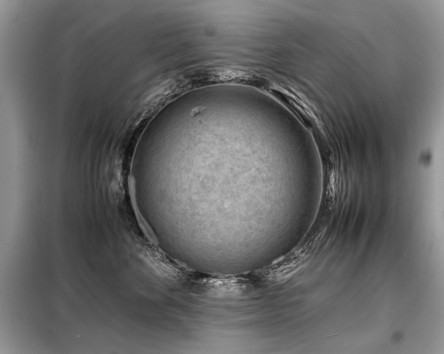 X0000099410524200805091222
