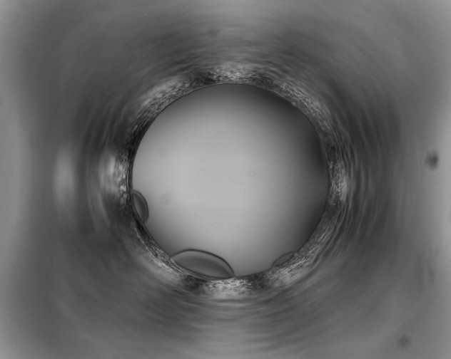 X0000099410526200805091222