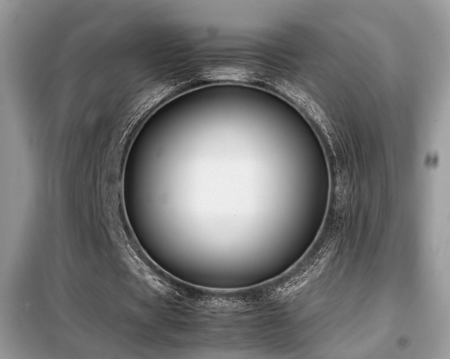 X0000099410529200805091221