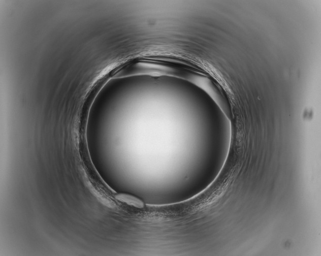 X0000099410530200805091221