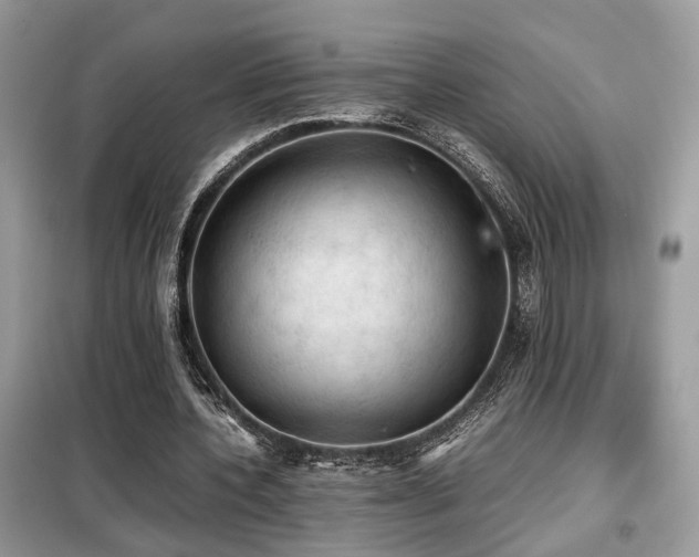 X0000099410532200805091221