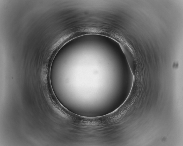 X0000099410533200805091221