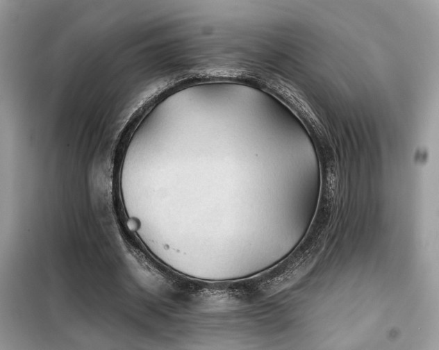 X0000099410534200805091221