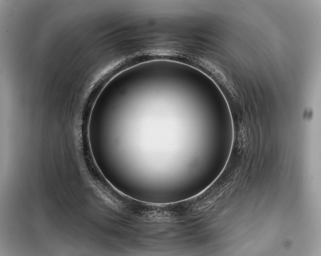 X0000099410535200805091221