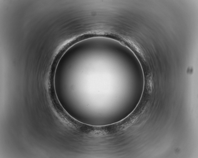 X0000099410536200805091221