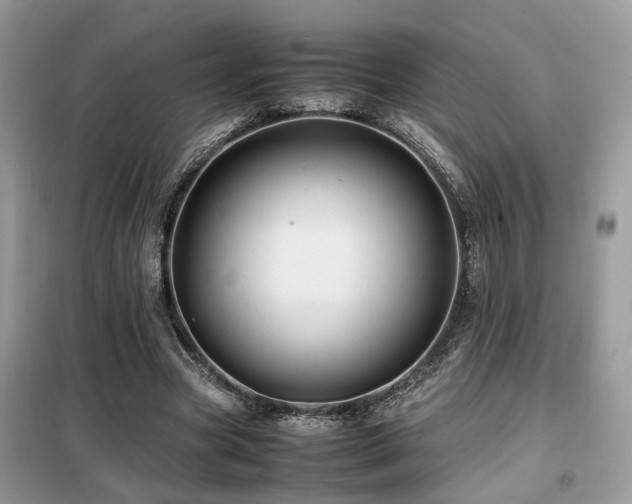 X0000099410537200805091221