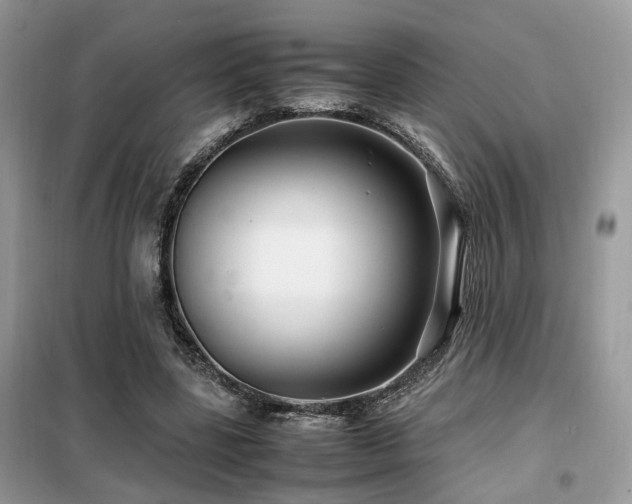 X0000099410539200805091221