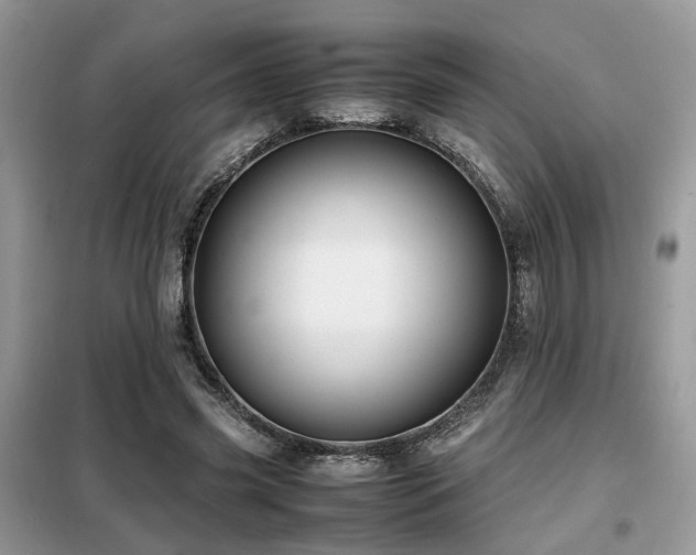 X0000099410541200805091221