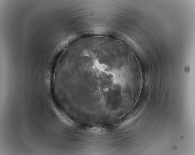 X0000099410542200805091221