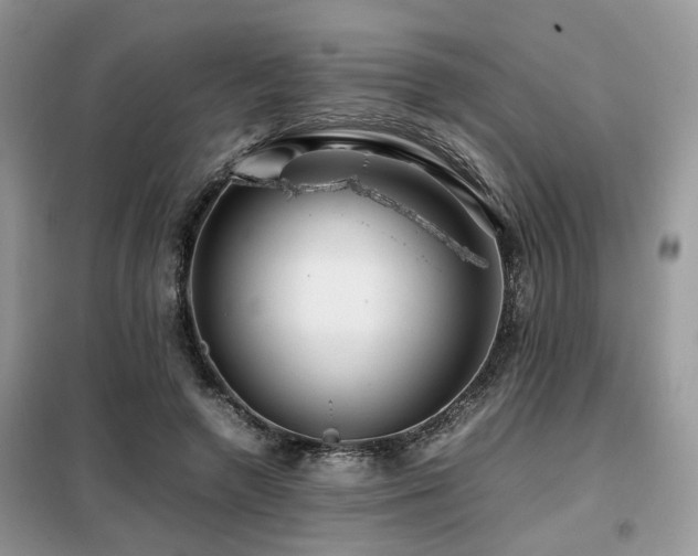 X0000099410546200805091221