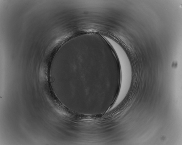 X0000099410547200805091221