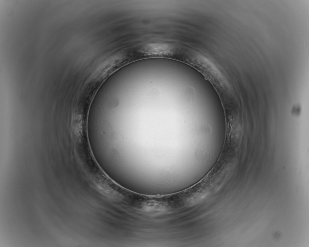 X0000099410549200805091221