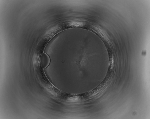 X0000099410551200805091221