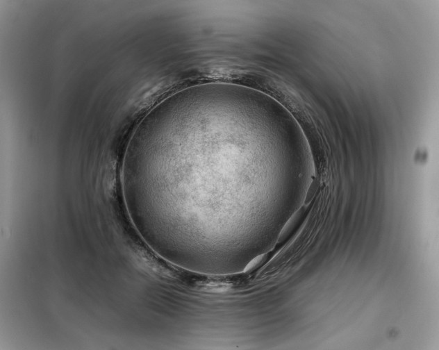 X0000099410554200805091222