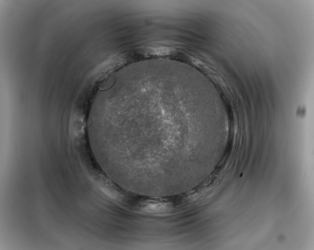 X0000099410555200805091222