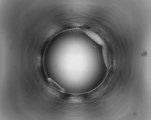 X0000099410556200805091222
