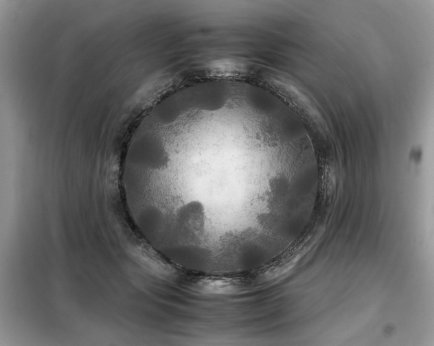 X0000099410557200805091222