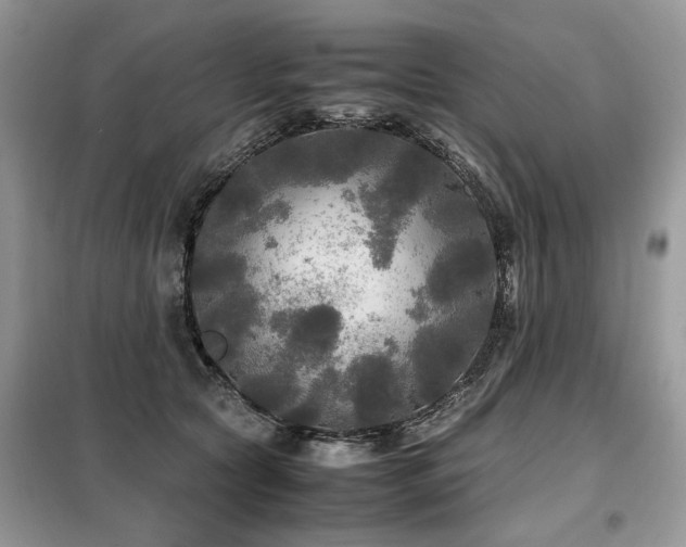 X0000099410561200805091222