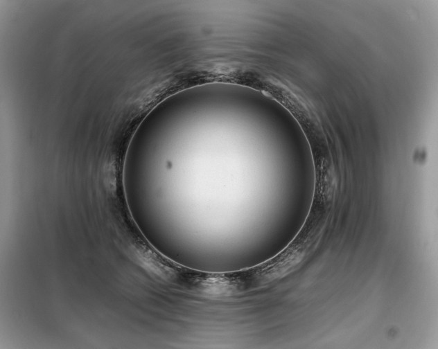 X0000099410562200805091222