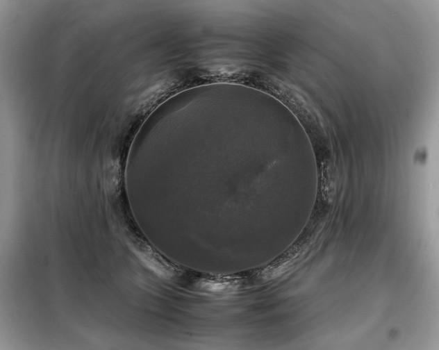 X0000099410563200805091222