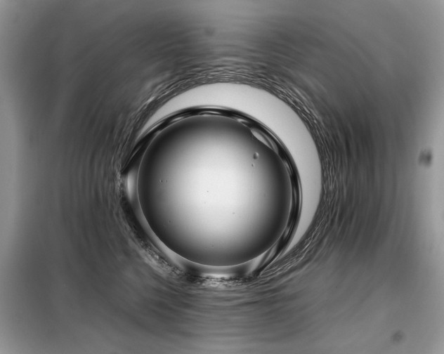 X0000099410568200805091222