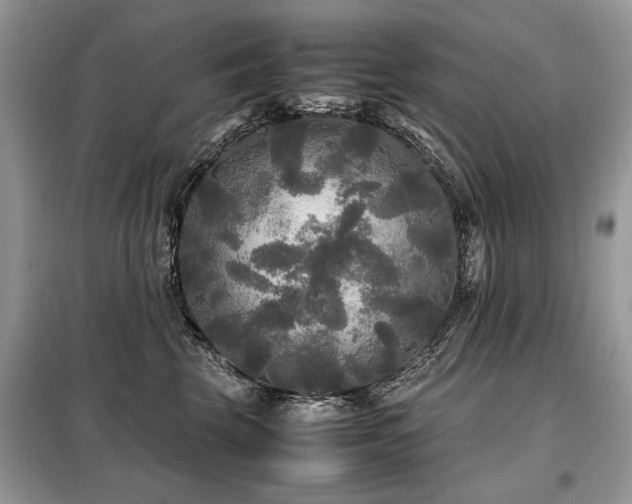 X0000099410569200805091222
