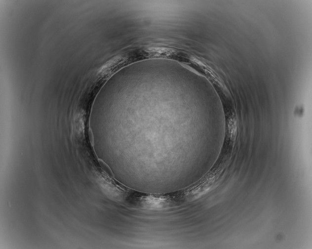 X0000099410570200805091222