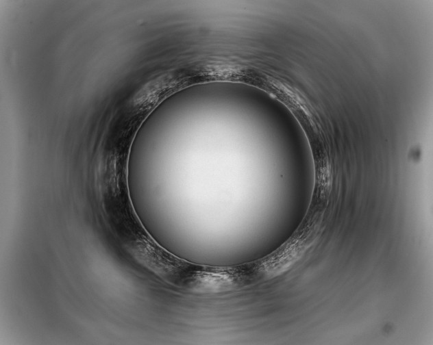 X0000099410572200805091222