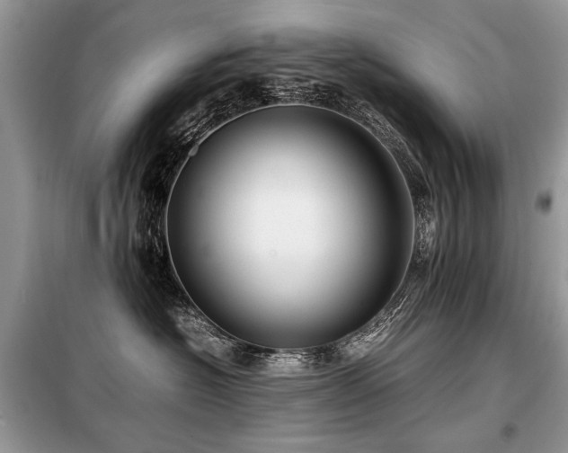 X0000099410574200805091222