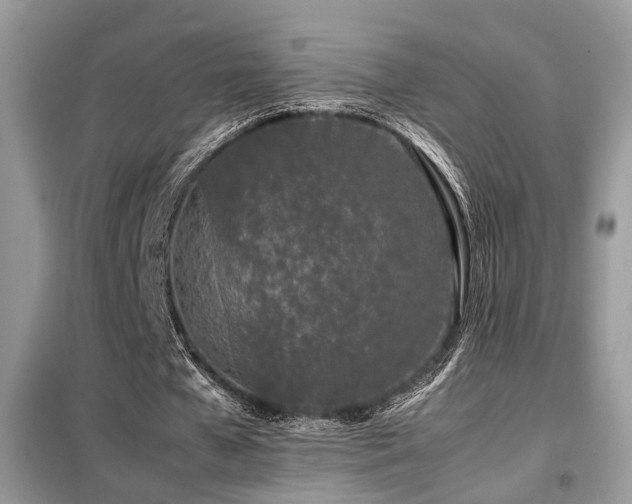 X0000099410577200805091221