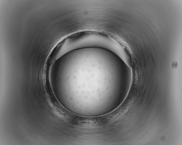X0000099410580200805091221
