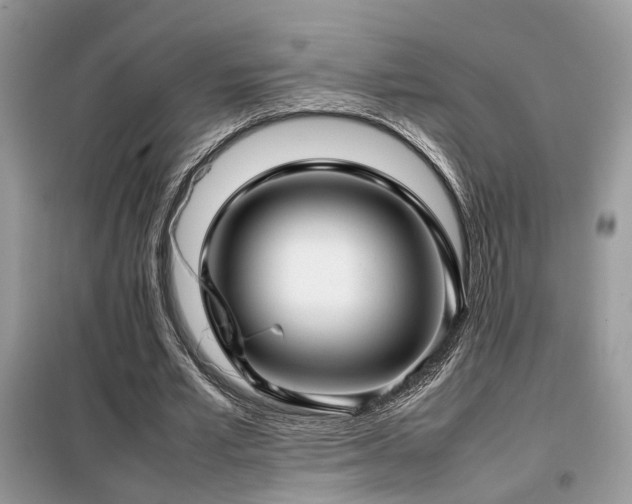 X0000099410581200805091221