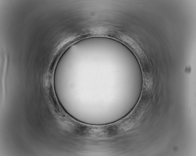X0000099410583200805091221