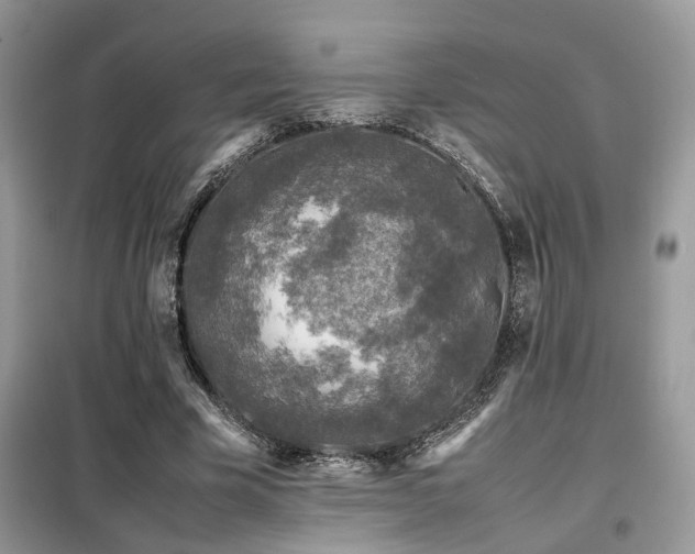 X0000099410585200805091221