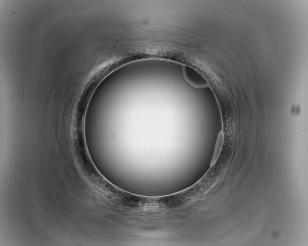 X0000099410587200805091221