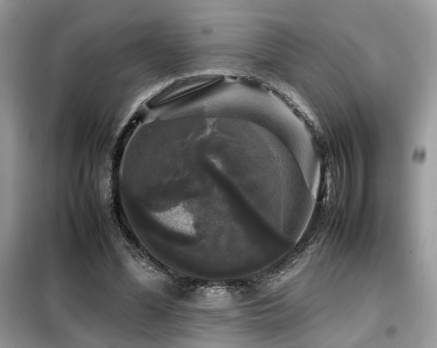 X0000099410588200805091221