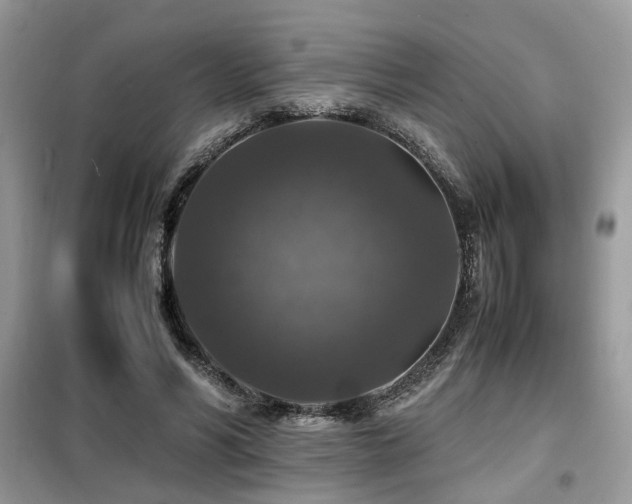 X0000099410590200805091221