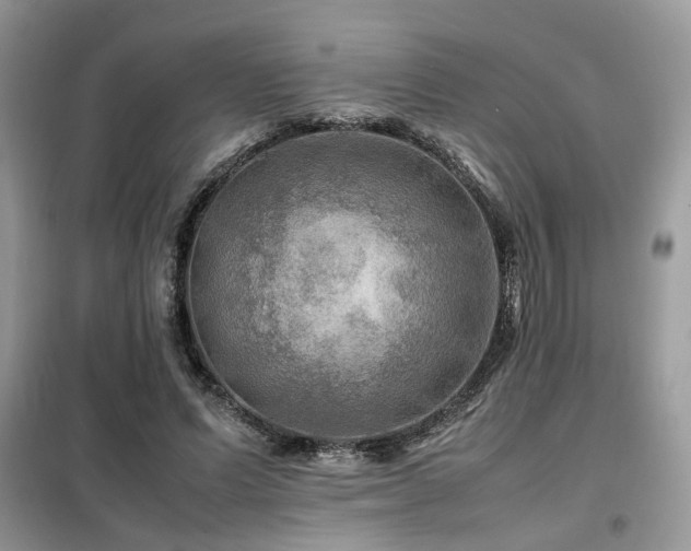 X0000099410591200805091221