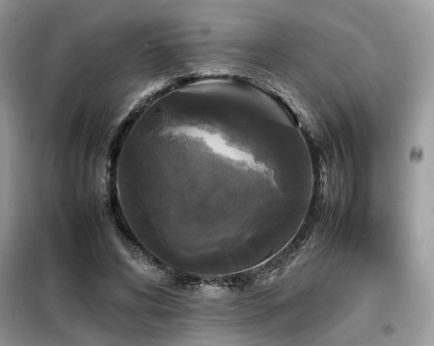 X0000099410592200805091221