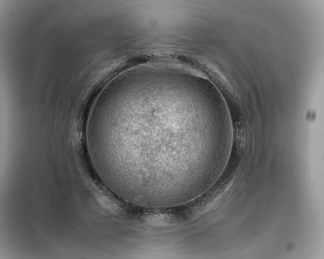 X0000099410593200805091221