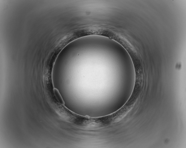 X0000099410597200805091221