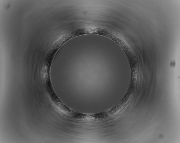 X0000099410598200805091221