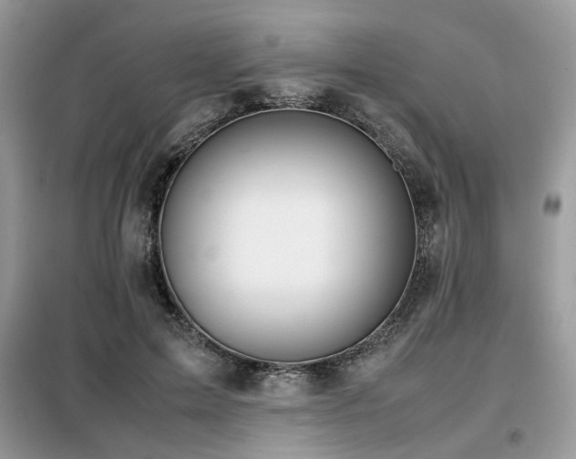 X0000099410599200805091221
