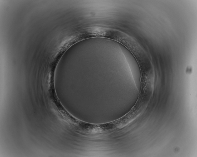X0000099410600200805091221
