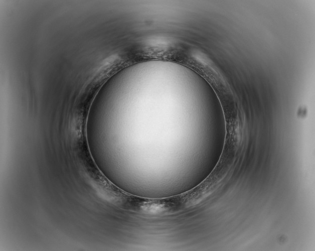 X0000099410602200805091221