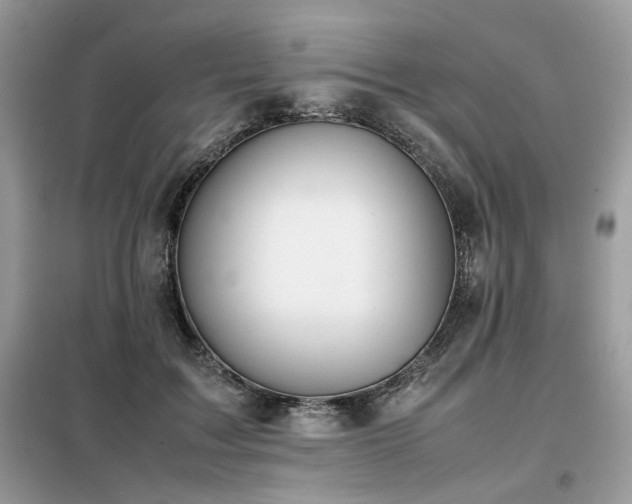 X0000099410603200805091221